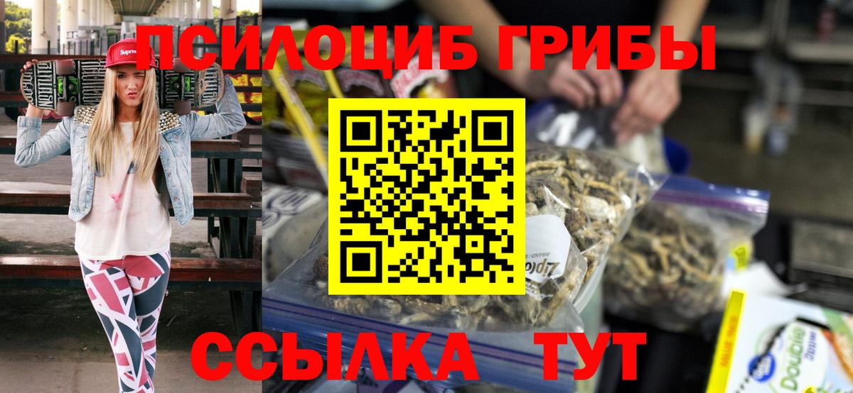 Псилоцибиновые грибы Psilocybine cubensis Нефтекумск